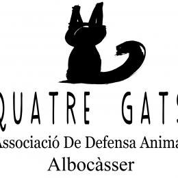 Naix ‘Quatre Gats’ la nova associació de protecció felina d'Albocàsser