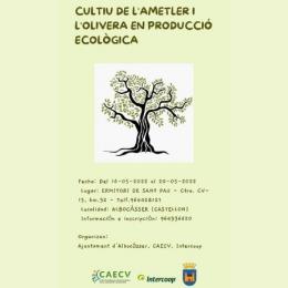 Albocàsser fomenta el cultiu ecològic d'ametlers i oliveres